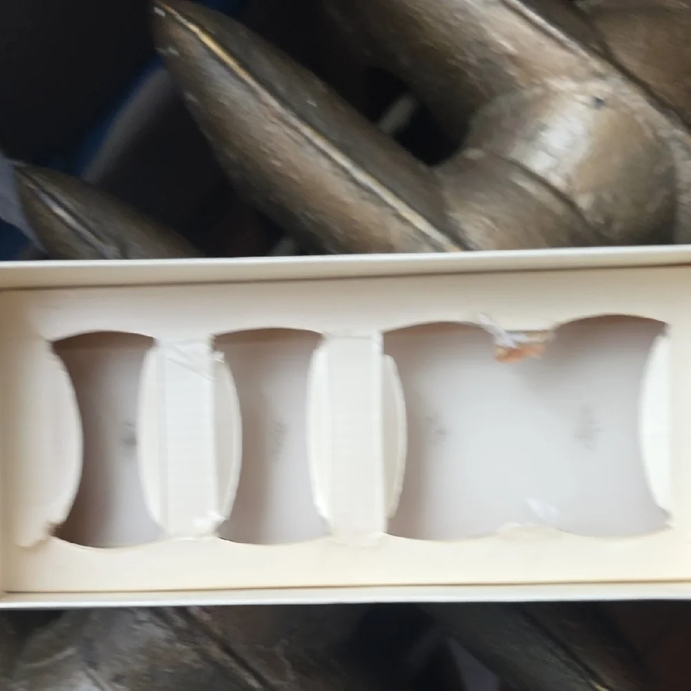 Pier 1 Silver Napkin Rings Set